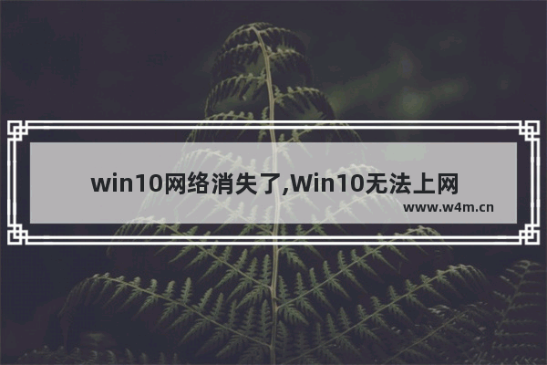 win10网络消失了,Win10无法上网