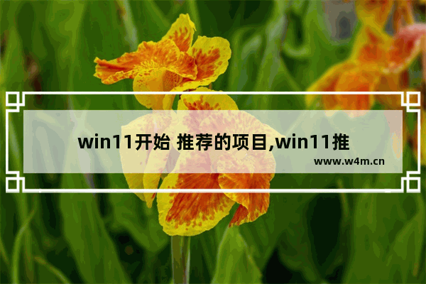 win11开始 推荐的项目,win11推荐项目怎么关