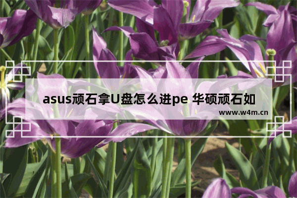 asus顽石拿U盘怎么进pe 华硕顽石如何使用U盘引导PE