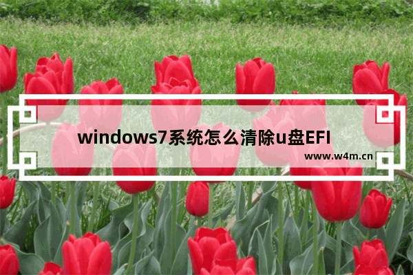 windows7系统怎么清除u盘EFI 如何删除U盘上的Windows 7 EFI？