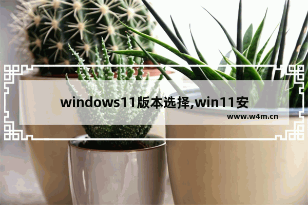 windows11版本选择,win11安装版本选择