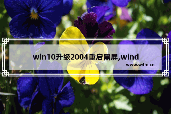 win10升级2004重启黑屏,windows10更新后蓝屏重启