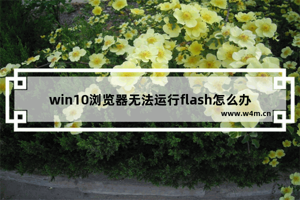 win10浏览器无法运行flash怎么办,win10玩4399显示flash不支持