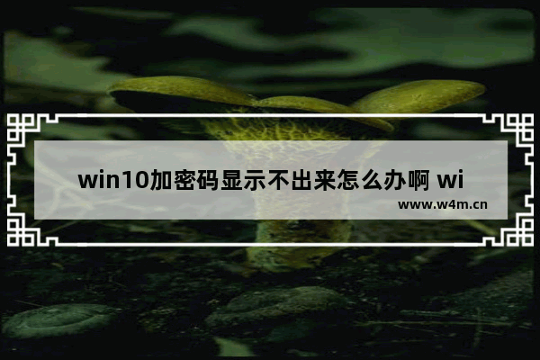 win10加密码显示不出来怎么办啊 win10密码无法显示？解决方法在这里！