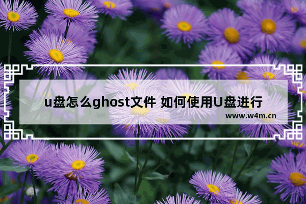 u盘怎么ghost文件 如何使用U盘进行文件的Ghost？