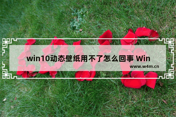 win10动态壁纸用不了怎么回事 Win10动态壁纸无法使用——解决方案