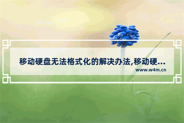 移动硬盘无法格式化的解决办法,移动硬盘不能格式化怎么回事