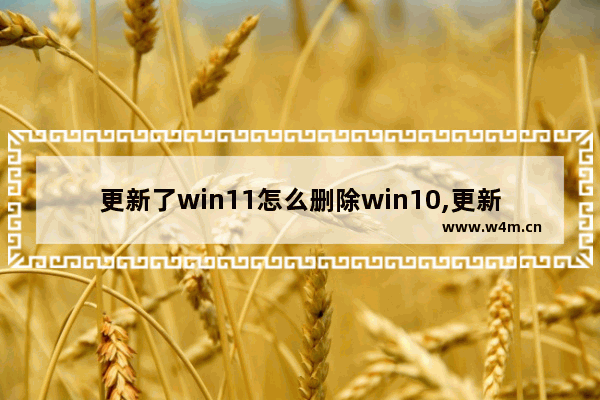 更新了win11怎么删除win10,更新windows11教程