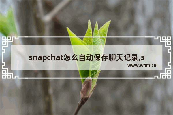 snapchat怎么自动保存聊天记录,snapchat怎样保存