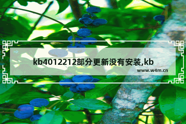 kb4012212部分更新没有安装,kb3042553安装失败