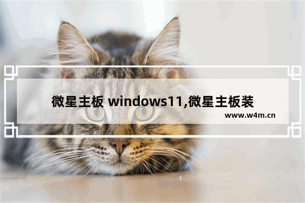 微星主板 windows11,微星主板装win10系统教程