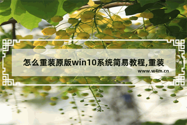 怎么重装原版win10系统简易教程,重装原版win10系统时是自动格式化了吗