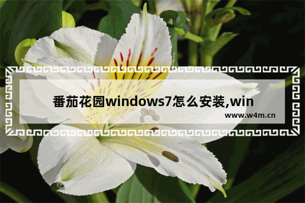 番茄花园windows7怎么安装,win7 番茄花园