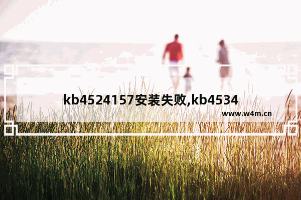 kb4524157安装失败,kb4534251安装失败