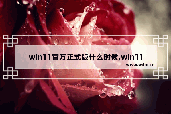 win11官方正式版什么时候,win11国内正式版发布时间