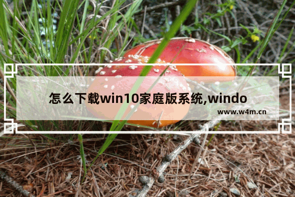 怎么下载win10家庭版系统,windows10家庭版下载地址