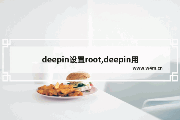 deepin设置root,deepin用root用户登录