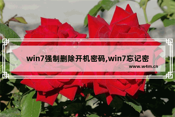 win7强制删除开机密码,win7忘记密码强行删除开机密码