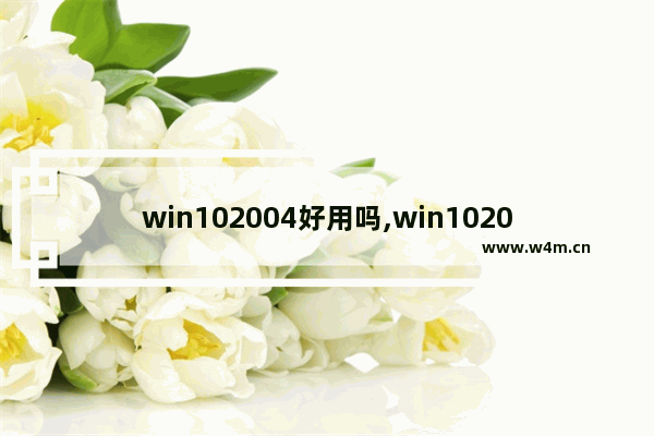 win102004好用吗,win102004是什么意思