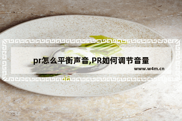 pr怎么平衡声音,PR如何调节音量