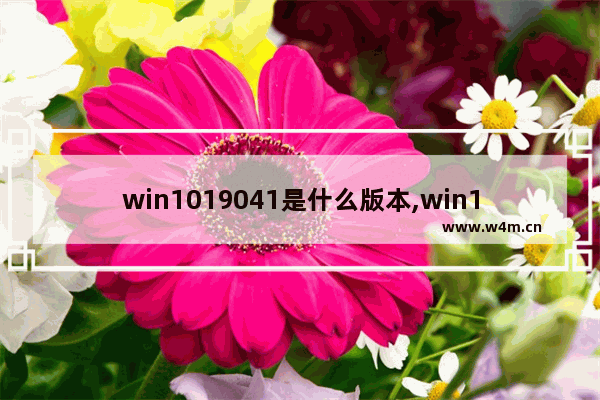 win1019041是什么版本,win1019041是最新版本吗