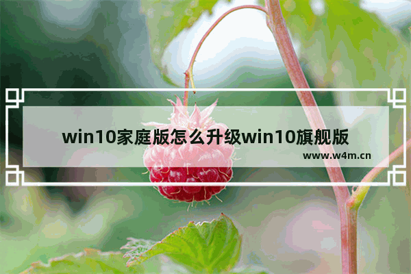 win10家庭版怎么升级win10旗舰版,win11家庭版怎么升级win11专业版