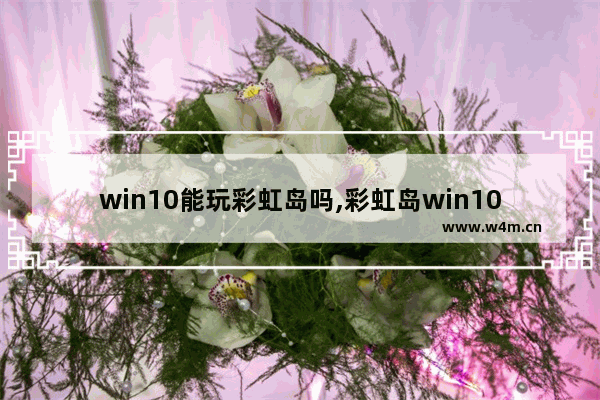 win10能玩彩虹岛吗,彩虹岛win10无法安装