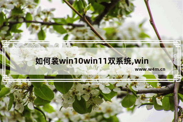 如何装win10win11双系统,win10双系统安装方法