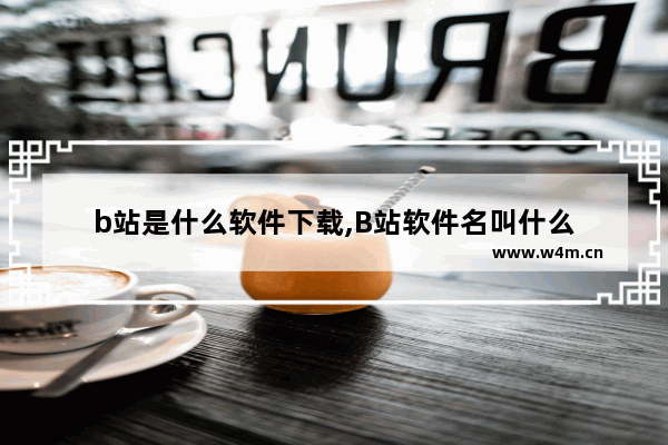 b站是什么软件下载,B站软件名叫什么