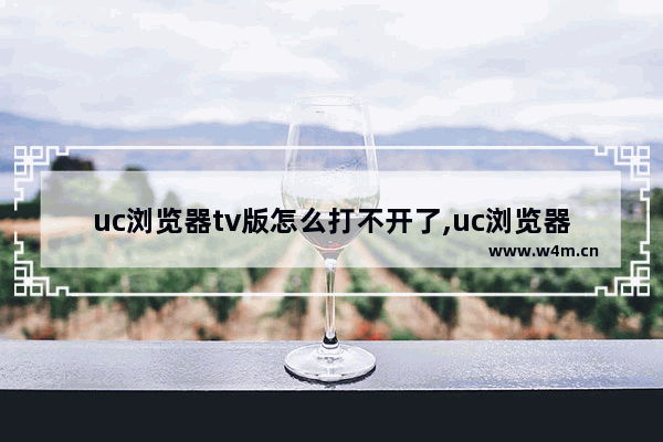 uc浏览器tv版怎么打不开了,uc浏览器电视版tv版怎么进不去