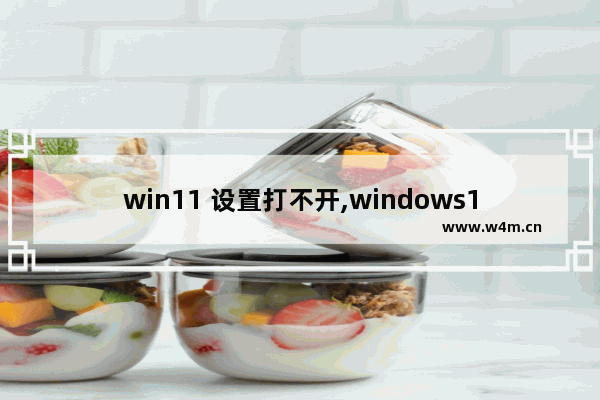 win11 设置打不开,windows11进不去系统