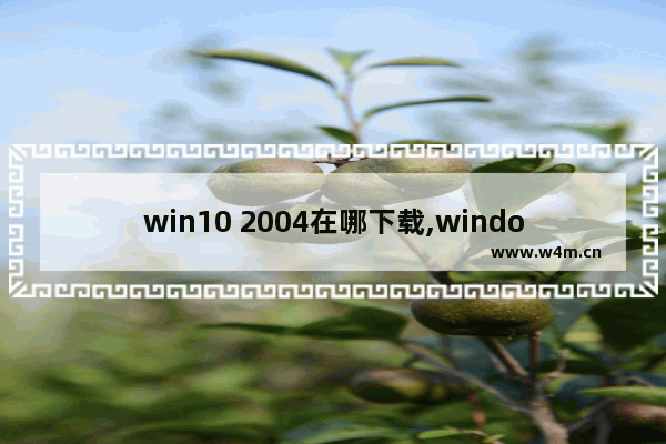 win10 2004在哪下载,window10最新版本2004在哪下载