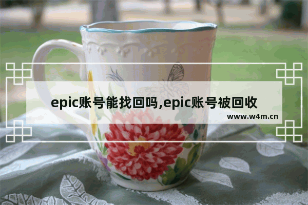 epic账号能找回吗,epic账号被回收