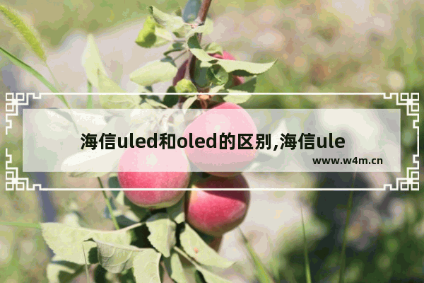 海信uled和oled的区别,海信uled电视怎么样 都有哪些特别之处