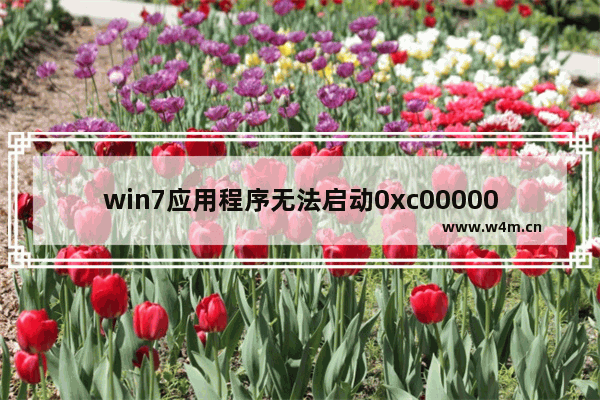 win7应用程序无法启动0xc0000005,win7程序无法正常启动0xc0000005