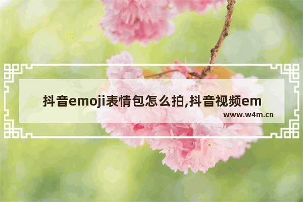 抖音emoji表情包怎么拍,抖音视频emoji表情怎么弄