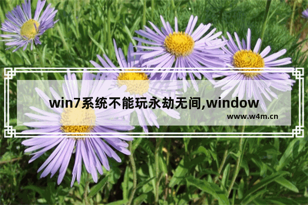 win7系统不能玩永劫无间,windows7可以玩永劫无间吗