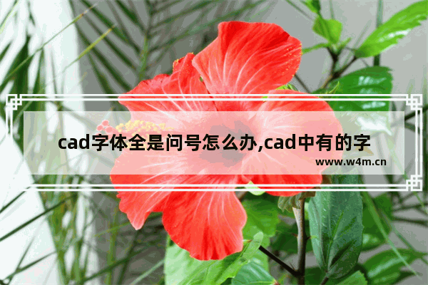 cad字体全是问号怎么办,cad中有的字体是问号怎么办