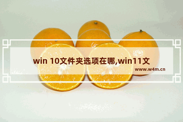 win 10文件夹选项在哪,win11文件在哪