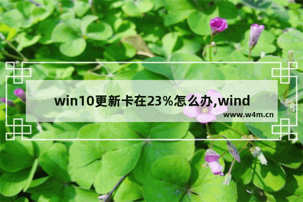 win10更新卡在23%怎么办,windows10 1903更新卡住