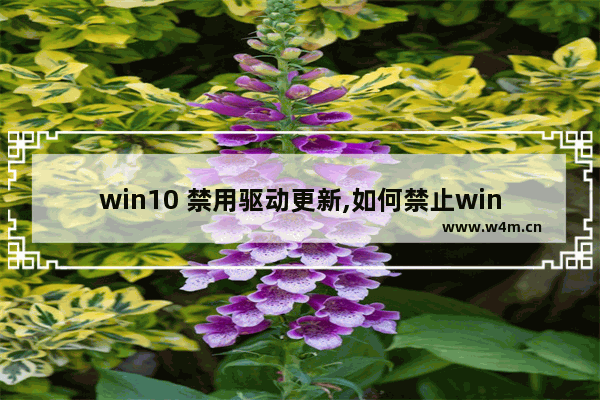 win10 禁用驱动更新,如何禁止win10更新驱动