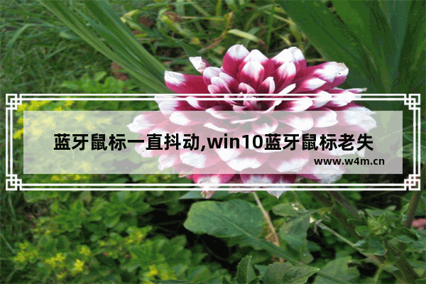 蓝牙鼠标一直抖动,win10蓝牙鼠标老失灵