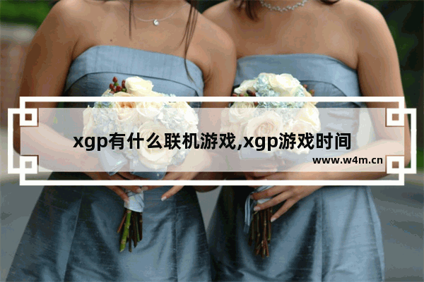 xgp有什么联机游戏,xgp游戏时间