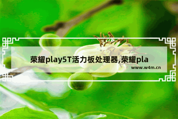 荣耀play5T活力板处理器,荣耀play5t活力版参数配置详情