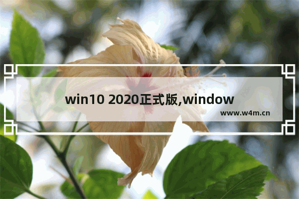 win10 2020正式版,windows10哪个版本最好用2020