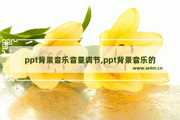 ppt背景音乐音量调节,ppt背景音乐的设置