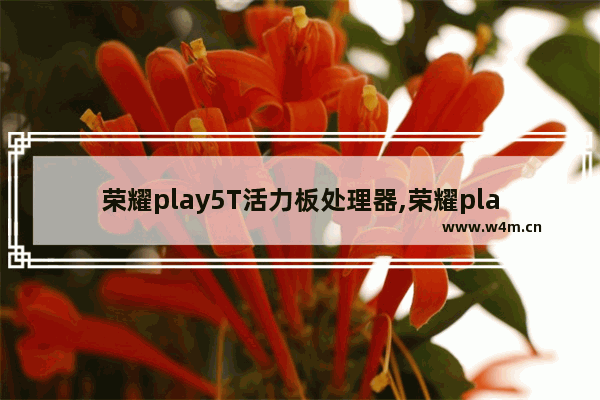 荣耀play5T活力板处理器,荣耀play5t活力版参数配置详情