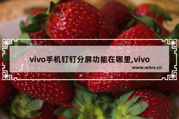 vivo手机钉钉分屏功能在哪里,vivo手机钉钉可以分屏吗