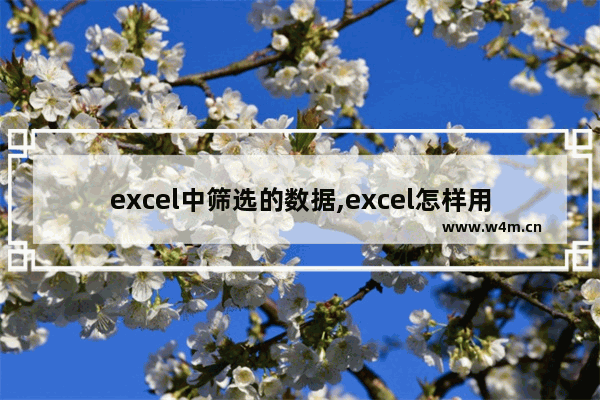 excel中筛选的数据,excel怎样用筛选功能