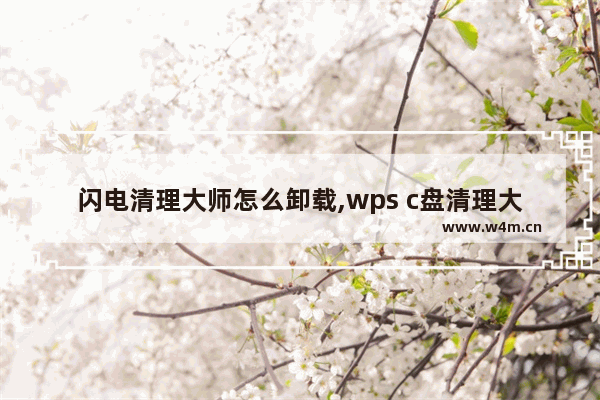 闪电清理大师怎么卸载,wps c盘清理大师怎么卸载